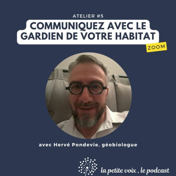 Atelier #5