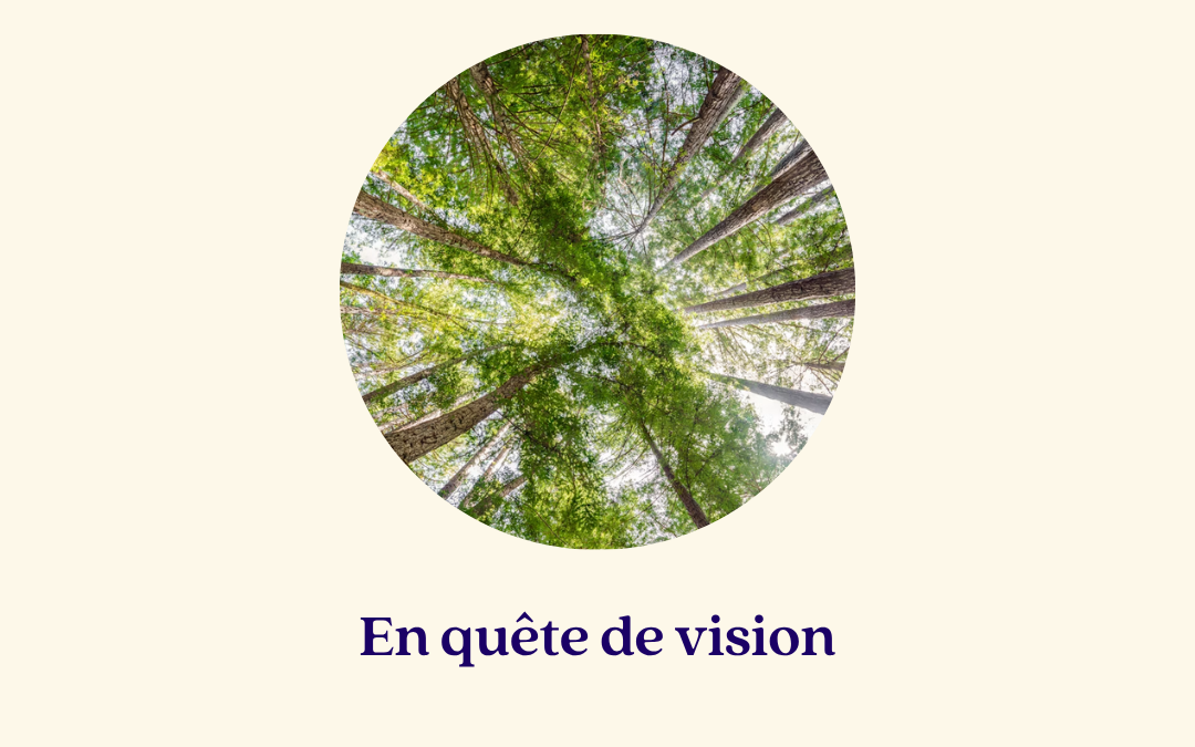 [Série en immersion] Ma quête de vision : trois jours, trois nuits, seule dans la forêt et à jeun
